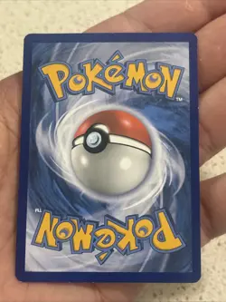 Pokemon TCG Eevee 012/012 McDonald's 2019 Promo Holo English 2019 Gnaw 20 - Image 3