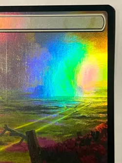 MTG Plains - Standard Showdown Promo 0001 - Foil - NM - FREE SHIPPING - Image 3
