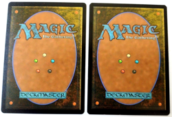 2x Shiko, Paragon of the Way - Tarkir: Dragonstorm (TDM) - EN - M 0223 - Image 2