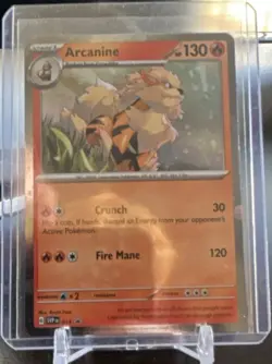 Pokemon Arcanine SVP 013 Promo Regular Stage 1 SV Scarlet Violet 130 HP - Image 1