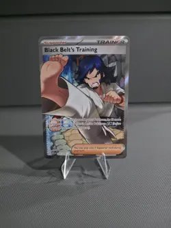Black Belts Training 255/217 IR - Pokemon TCG: Ascended Heroes English - Image 1