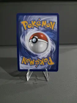 Black Belts Training 255/217 IR - Pokemon TCG: Ascended Heroes English - Image 2