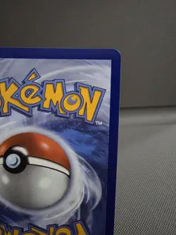 Black Belts Training 255/217 IR - Pokemon TCG: Ascended Heroes English - Image 3