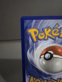 Black Belts Training 255/217 IR - Pokemon TCG: Ascended Heroes English - Image 4