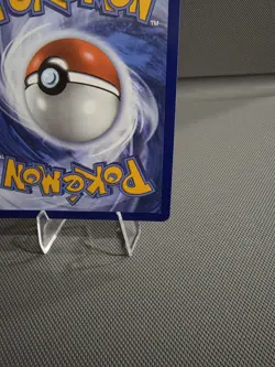 Black Belts Training 255/217 IR - Pokemon TCG: Ascended Heroes English - Image 5