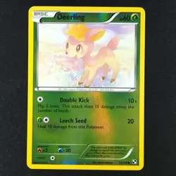 Deerling 13/114 Holo - Black & White - Pokemon Card - Image 1