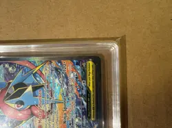 TAG 10 Mega Greninja EX 116/086 Chaos Rising Special Illustration Rare Holo - Image 5