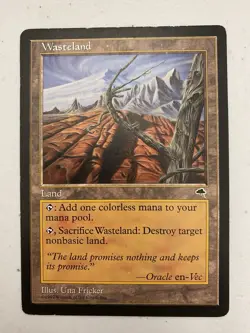 1x MTG WASTLAND - Rare TEMPEST LP - Image 1