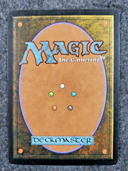 MTG Fists of Ironwood Ravnica Remastered 139 NM (DS3D1K8) - Image 2