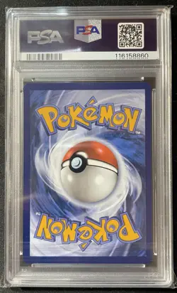 Pokemon Feraligatr 213 Scarlet & Violet Promo Illustration Contest 2024 PSA 10 - Image 2