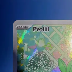 Petilil 091/086 Illustration Rare SV Black Bolt Pokemon TCG Full Art Holo NM - Image 3