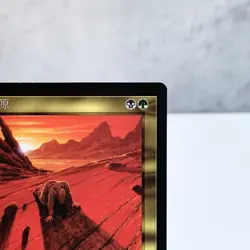 MTG Squandered Resources Visions Chinese Traditional Rare 1997 WOTC - Image 3