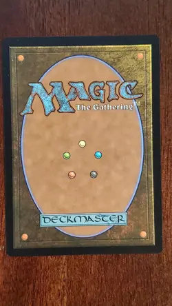 The Wandering Rescuer [Showcase] Duskmourn EX/LP #351 MTG Magic the Gathering - Image 2