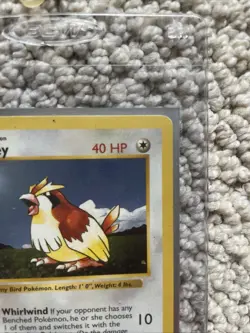 Pidgey Base Set 022/102 Shadowless First Edition This Card Is Clean - Image 3