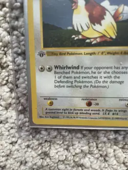Pidgey Base Set 022/102 Shadowless First Edition This Card Is Clean - Image 5