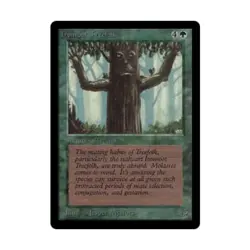 WOTC MtG Beta Ironroot Treefolk (C) VG - Image 1