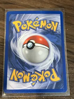 2003-2006 Pokemon Nintendo Black Star Promos Mudkip Reverse Holo #010 - Image 2