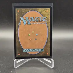 Great Hall of the Biblioplex - Secrets of Strixhaven - Extended Art - Foil - MT/ - Image 2