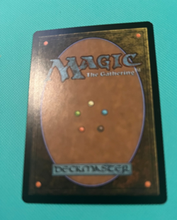 Painter's Servant - Shadowmoor - MTG - Magic the Gathering - Image 3