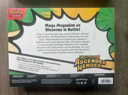 Pokemon Mega Evolution Ascended Heroes Ex Box Meganium Feraligatr Lot 3 SEALED - Image 3
