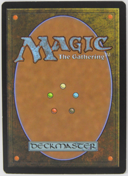 MTG Return to Ravnica Deathrite Shaman Signed Steve Argyle LP - Image 2