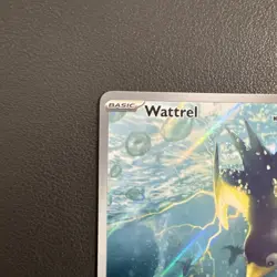Wattrel 178/167 - Secret Rare - Surging Sparks - Pokemon TCG NM - Image 3