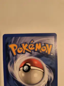 Suicune 53 Black Star Promo Pokemon WOTC Regular Card Pokemon 4Ever Stamp LP - Image 5