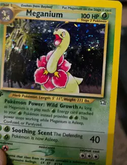 Pokemon 1st Edition Meganium 11/111 Neo Genesis Holo - NM/LP+ - Image 3