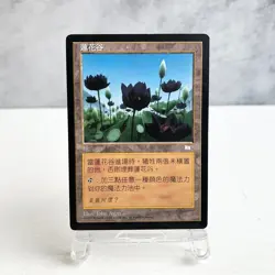 MTG Lotus Vale Weatherlight Chinese Traditional Rare Land John Avon 1997 - Image 1