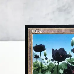 MTG Lotus Vale Weatherlight Chinese Traditional Rare Land John Avon 1997 - Image 2