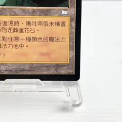 MTG Lotus Vale Weatherlight Chinese Traditional Rare Land John Avon 1997 - Image 5