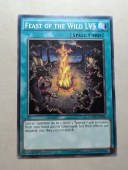 Feast of the Wild - LV5 - DUEA-EN056 - Common Yugioh - Image 1