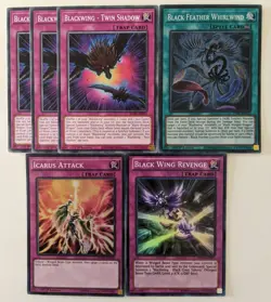YuGiOh 29 Card Blackwing Deck Core with 9 Card Extra Deck - Image 2
