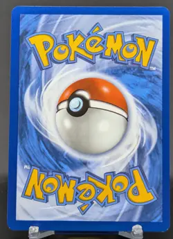 Pokemon Phanpy #044/086 English Chaos Rising Reverse Holo - Image 2
