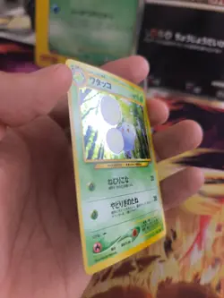 Pokemon Karte Card Papungha Jumpluff Neo Genesis Gsnw Holo Wotc japanese NM - Image 4