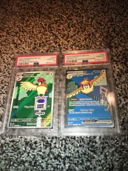 Pokemon Card - PSA 10 - Pidgeot ex 225/197 & Pidgeotto 208/197 - Obsidian Flames - Image 1