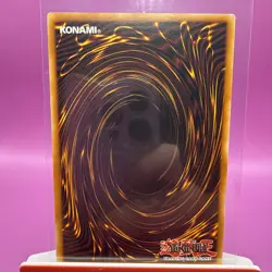 Yu-Gi-Oh Elemental Hero Wildedge DP03-EN010 Rare (NM/LP) - Image 2
