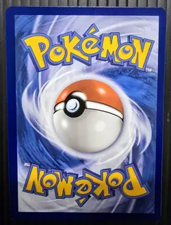 Lileep HOLO 145/142 Illustration Rare Full Art Pokemon Stellar Crown English NM - Image 2