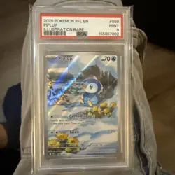 2025 Pokemon Phantasmal Flames Piplup Illustration Rare #098/094 PSA 9 - Image 1