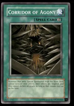 Corridor of Agony The Shining Darkness TSHD-EN062 Common / Short Print Yugioh LP - Image 1