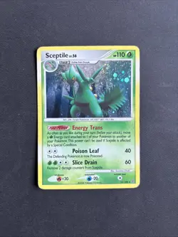 Pokemon TCG Sceptile Stormfront 10/100 Holo Rare - MP - Image 1