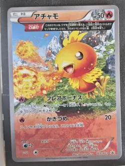 Pokemon TCG Torchic 103/XY-P XY-P Promo Holo Japanese Card 2014 NM - Image 1