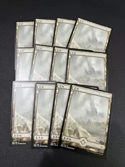 12x S-CHINESE MTG Oath of the Gatewatch (Full Art) Wastes (183) NM/M +GIFT - Image 1