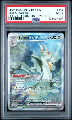 2025 Pokemon Black Bolt #164 Serperior Ex Special Illustration Rare PSA 9 - Image 1