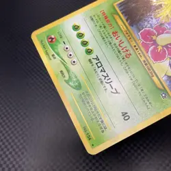 Old Back Pokemon Card Neo 1 Legendary Birds Holo Set of 3 - Image 5