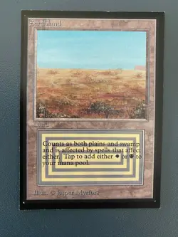 Scrubland International Edition Regular - MTG - Image 1