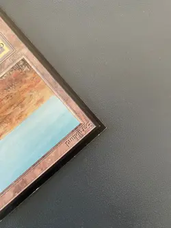 Scrubland International Edition Regular - MTG - Image 4