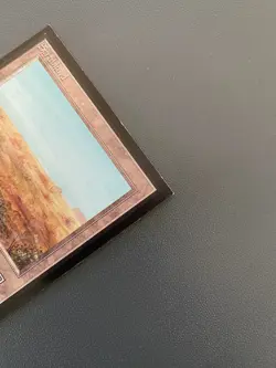 Scrubland International Edition Regular - MTG - Image 5