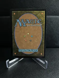 Ajani, Outland Chaperone Lorwyn Eclipsed Regular - Image 3