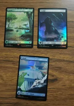 Mtg Basic Land Full Art Full Lot - Image 5